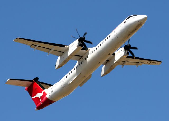 de Havilland Dash 8-400 (VH-QOD) - QANTASLINK (SUNSTATE AIRLINES) - BOMBARDIER DHC-8-402 Q400 - REG VH-QOD (CN 4123) - ADELAIDE INTERNATIONAL SA. AUSTRALIA - YPAD (8/12/2014)