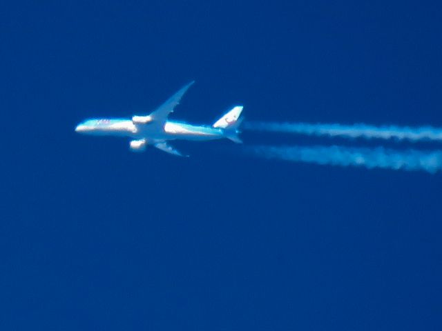 Boeing 787-9 Dreamliner (G-TUIO)