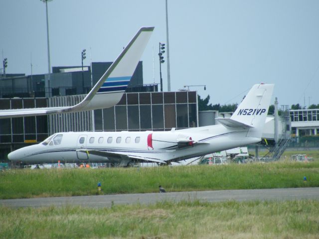 Cessna Citation V (N521VP) - N521VP