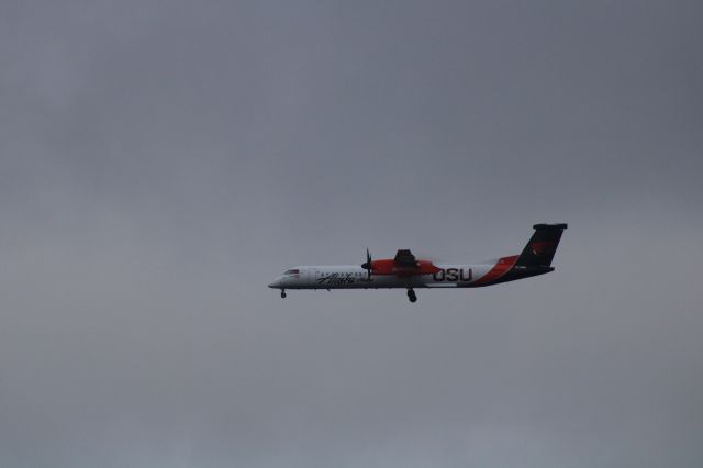 N440QX — - Alaska Horizon Q-400 with Oregon State Beavers themed liverybr /br /Taken from the water tower at SeaTac