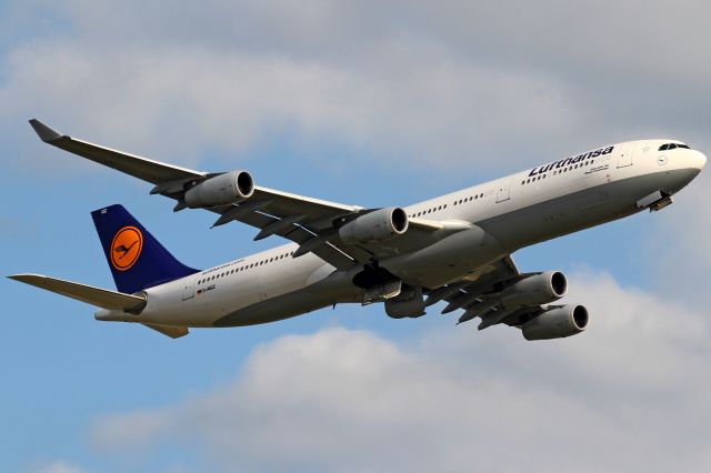 Airbus A340-300 (D-AIGZ)