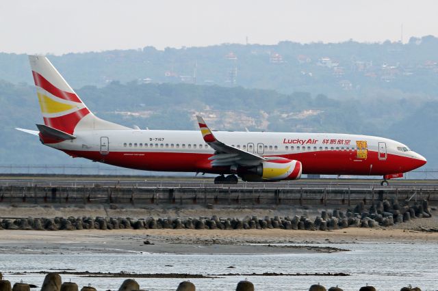 Boeing 737-800 (B-7167)