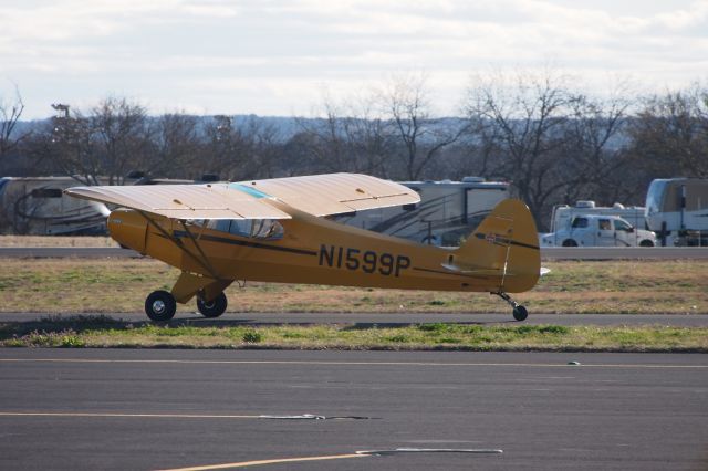 Piper L-21 Super Cub (N1599P)