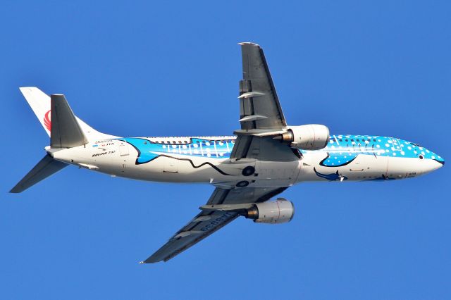 BOEING 737-400 (JA8939) - (18/11/2013)