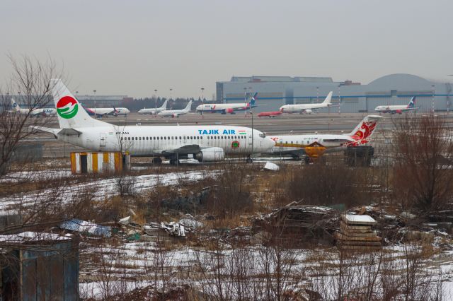 BOEING 737-300 (ETD444)