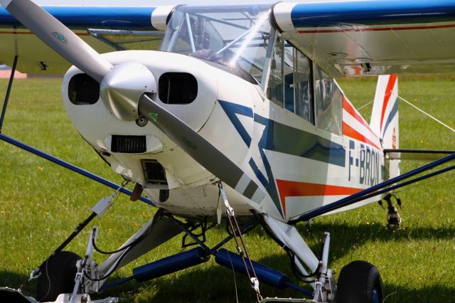 Piper L-21 Super Cub (F-BRQN)