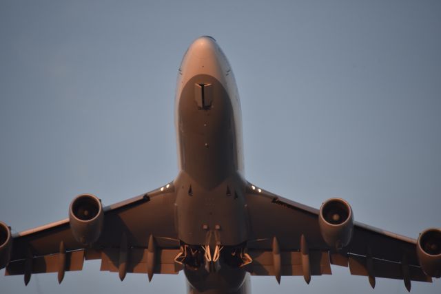 BOEING 747-8 (D-ABYK) - Taken 23 Aug 2019