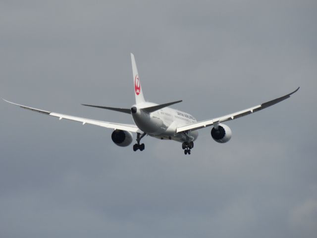 Boeing 787-8 (JA829J)