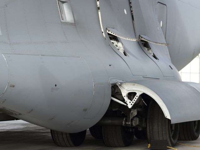 — — - Close up detail of Boeing C-17 Globemaster III.