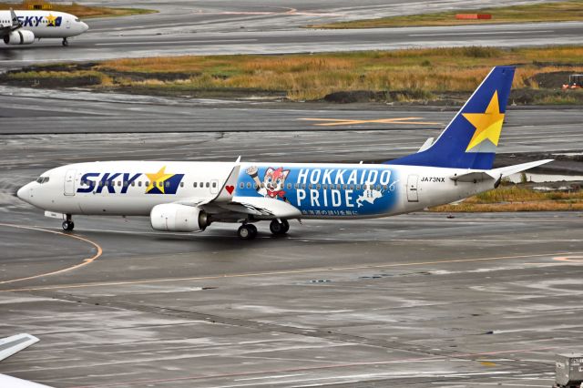 Boeing 737-800 (JA73NX) - Hokkaido Nippon-Ham Fighters baseball team special livery. Different graphics on the other side.