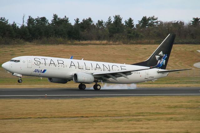 Boeing 737-800 (JA51AN)