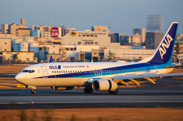 Boeing 737-800 (JA56AN) - ANA's B738 landed at RJOO-18.1.16