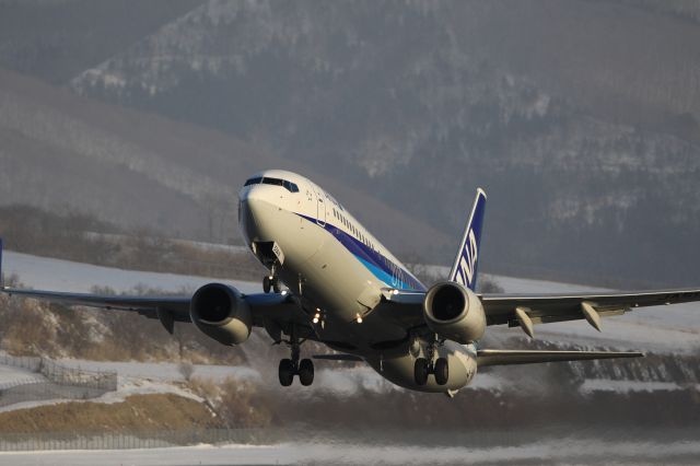 Boeing 737-800 (JA59AN) - January 7th 2019:HKD-HND.