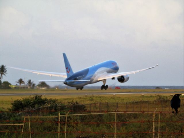 Boeing 787-9 Dreamliner (G-TUIK)