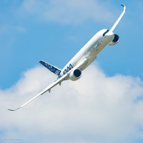 Airbus A330-300 (F-WTTN) - Salon du Bourget 2019