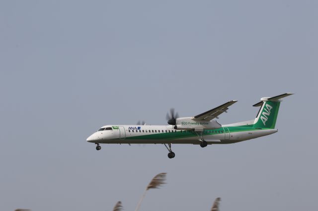 de Havilland Dash 8-400 (JA858A) - 05 May 2015:CTS-HKD