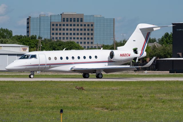 IAI Gulfstream G280 (N82CW) - Coyote just chilling in the grass.