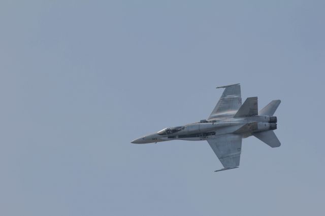 McDonnell Douglas FA-18 Hornet — - F/A 18 Hornet