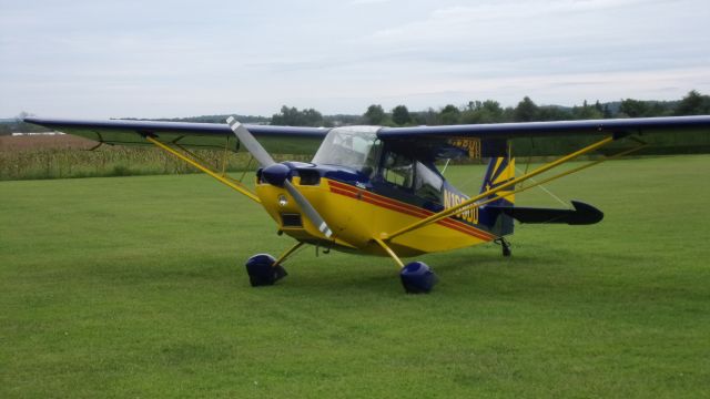 CHAMPION Sky-Trac (N169DD)