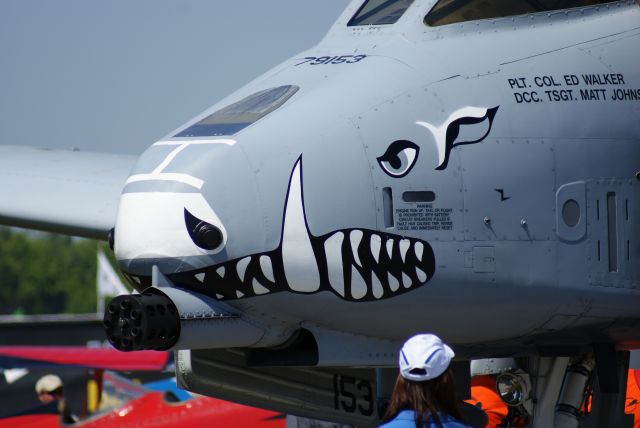 Fairchild-Republic Thunderbolt 2 — - A-10 noce close-up
