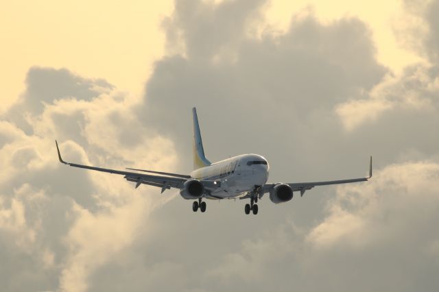 Boeing 737-700 (JA14AN) - 23 January 2016:HND-HKD.