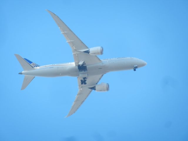 Boeing 787-8 (N45905) - A Boeing B787-800 Of United Airlines Puts Her Gear Down Over My House While Approaching Dulles International