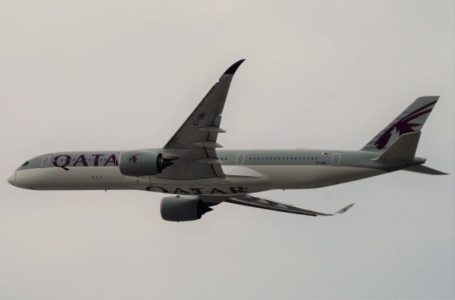 Airbus A350-900 (A7-AMH) - MALPENSA - DOHA.