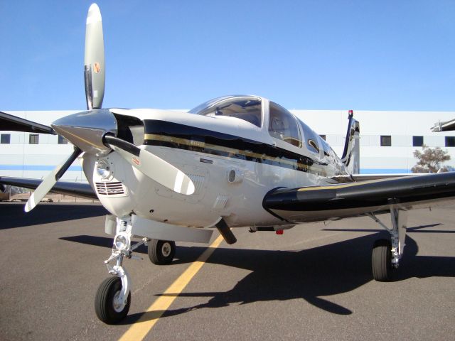 Beechcraft Bonanza (36) (N973S)