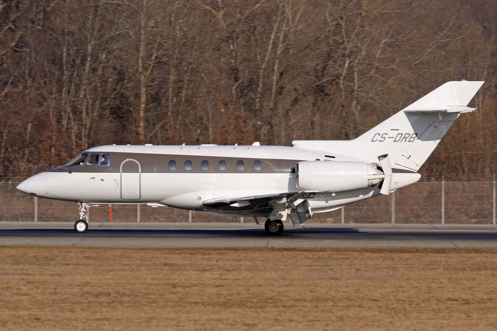 Hawker 800 (CS-DRB)