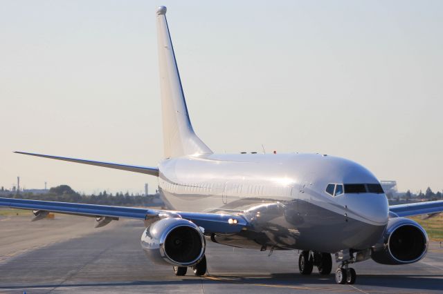 Boeing 737-700 (N1TS)