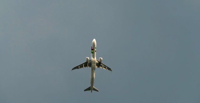 Airbus A321neo (CS-TXB)