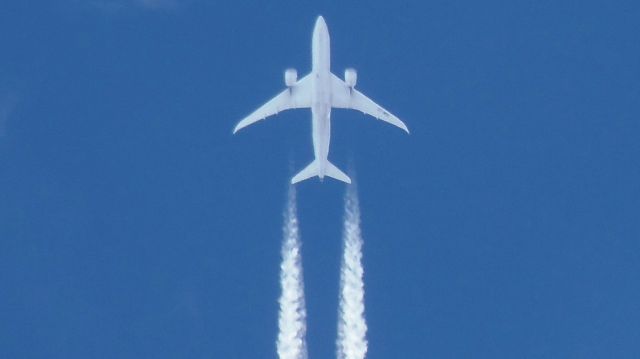 Boeing 787-8 (EC-MPE) - EC-MPE | AEA042 | Boeing 787-8br /VERTICAL DE CAC I FL 390br /14.02.2018 - 16:19