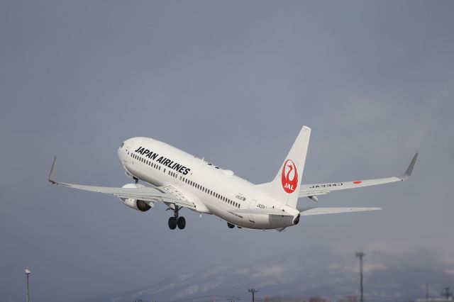 Boeing 737-800 (JA334J) - February 26.2023:HKD-HND.