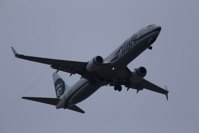 Boeing 737-700 (N423AS)