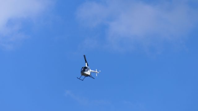Robinson R-22 (N8023F)