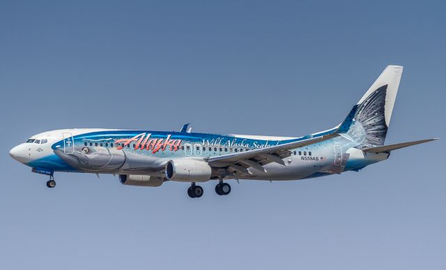 Boeing 737-800 (N559AS) - The Salmon-Thirty-Salmon on short finals for runway 24R at LAX