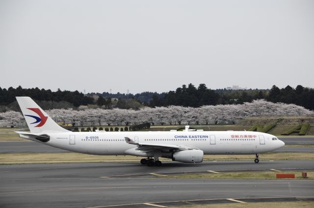Airbus A330-300 (B-6506) - Taxing at Narita Intl Airport on 2017/04/10