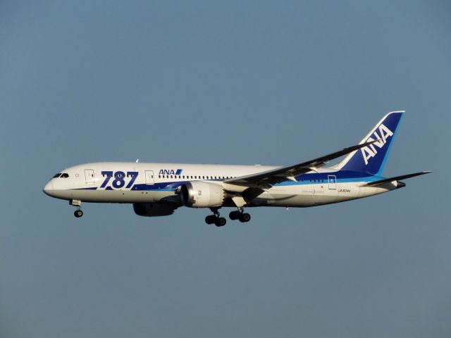 Boeing 787-8 (JA804A)