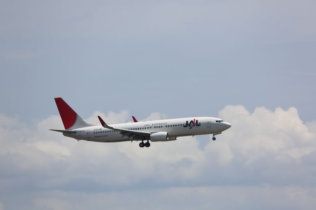 Boeing 737-800 (JA316J)