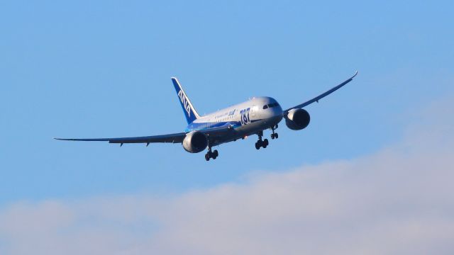 Boeing 787-8 (JA809A) - hakodate air port (HKD/RJCH) hokkaido japan