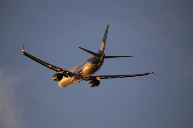 Boeing 737-800 (XA-AMB)