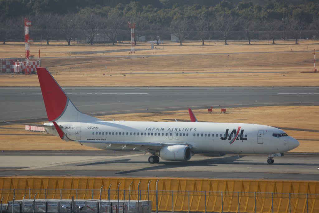 Boeing 737-800 (JA303J)