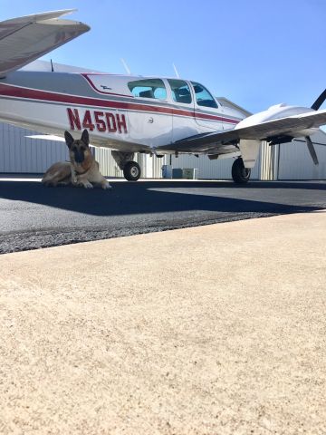 Beechcraft 55 Baron (N45DH) - Piper is the copilot of this bird.  