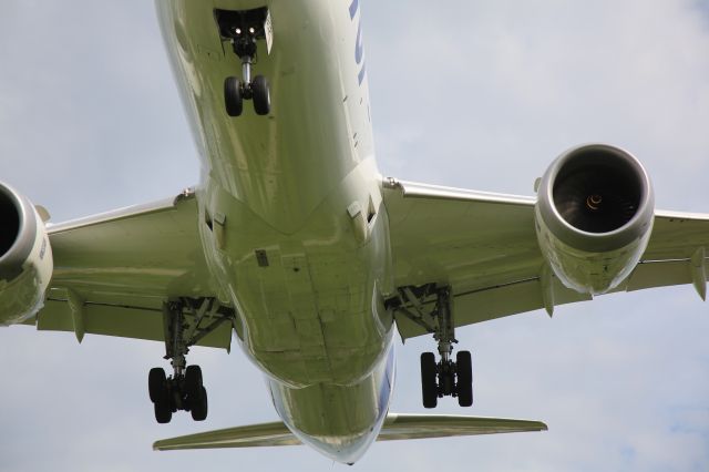 Boeing 787-8 (JA802A)