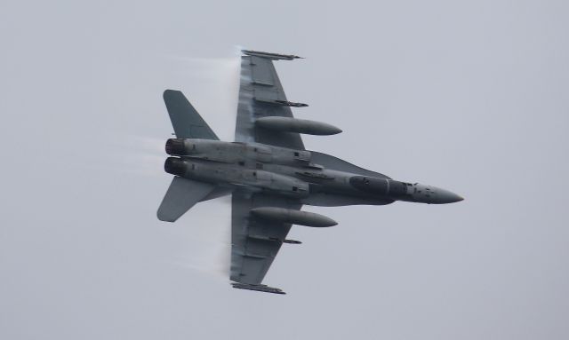 McDonnell Douglas FA-18 Hornet —