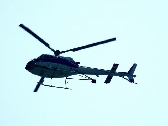 Eurocopter AS-350 AStar (JA9731)