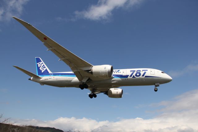 Boeing 787-8 (ANA1185)