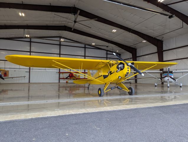 Piper NE Cub (N3426N)