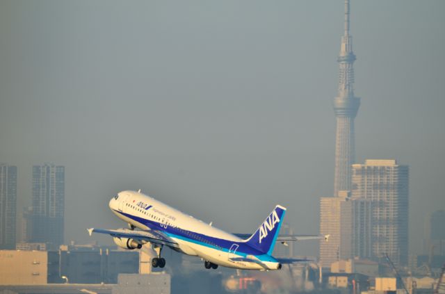 Airbus A320 (JA8304)