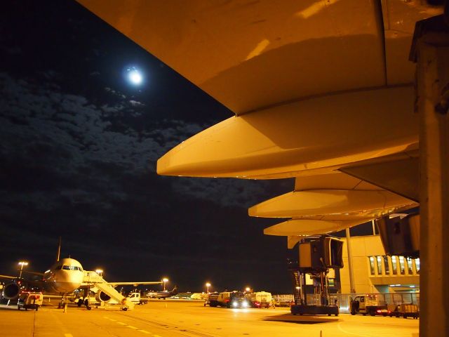 Airbus A319 (D-AGWO) - Left wing impression